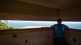 65 3 344x193 - Hen ku Brisbane, czyli nasz pierwszy road trip po Australii