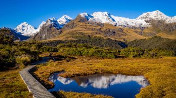 75 5 344x193 - W krainie Władcy Pierścieni - Wyspa Południowa