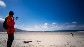 79 2 344x193 - W drodze na Antarktydę - Falklandy