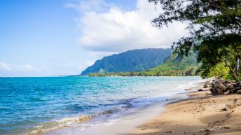 8 24 344x193 - Nie takie znowu rajskie Hawaje