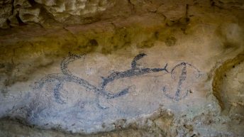 81 5 344x193 - W krainie Władcy Pierścieni - Wyspa Południowa