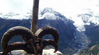 83 344x193 - AZJA - TAJLANDIA, LAOS, KAMBODŻA, MALEZJA, SINGAPUR, NEPAL