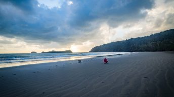 84 3 344x193 - Hen ku Brisbane, czyli nasz pierwszy road trip po Australii