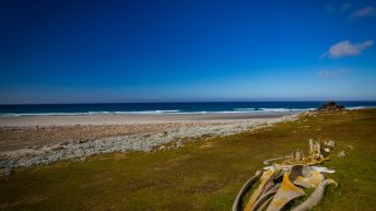 85 2 344x193 - W drodze na Antarktydę - Falklandy