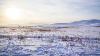 85 6 344x193 - Koleją transsyberyjską do domu