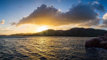 87 2 344x193 - Hen ku Brisbane, czyli nasz pierwszy road trip po Australii