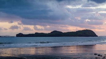 89 2 344x193 - Hen ku Brisbane, czyli nasz pierwszy road trip po Australii