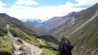 89 344x193 - AZJA - TAJLANDIA, LAOS, KAMBODŻA, MALEZJA, SINGAPUR, NEPAL