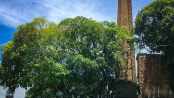 9 7 344x193 - Ze smakiem Caipirinhi na ustach - Rio de Janeiro!