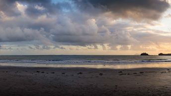 90 2 344x193 - Hen ku Brisbane, czyli nasz pierwszy road trip po Australii