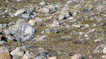 92 344x193 - AZJA - TAJLANDIA, LAOS, KAMBODŻA, MALEZJA, SINGAPUR, NEPAL