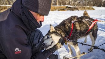 93 6 344x193 - Koleją transsyberyjską do domu