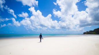 94 2 344x193 - Hen ku Brisbane, czyli nasz pierwszy road trip po Australii