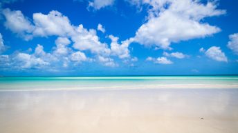 95 1 344x193 - Hen ku Brisbane, czyli nasz pierwszy road trip po Australii