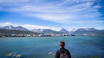 96 1 344x193 - W drodze na Antarktydę - Falklandy