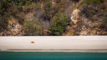 97 2 344x193 - Hen ku Brisbane, czyli nasz pierwszy road trip po Australii