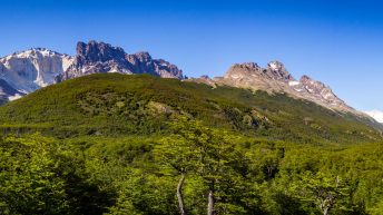 A 6 344x193 - No pain, no Paine - Patagonia