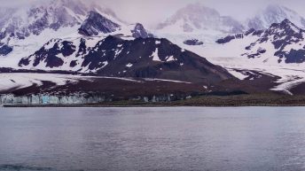 Antarctica South Georgia Falklands 2 2 344x193 - W drodze na Antarktydę cz. 2 - Georgia Południowa
