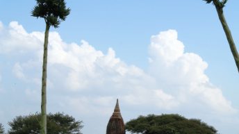 BIRMA Brima 19 344x193 - BIRMA