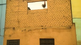 Chiclayo Chachapoyas Amazonia 14 344x193 - Dzika P&oacute;łnoc Peru