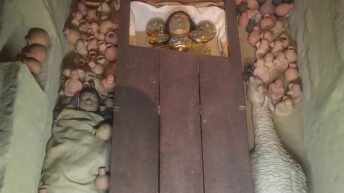 Chiclayo Chachapoyas Amazonia 2 344x193 - Dzika P&oacute;łnoc Peru