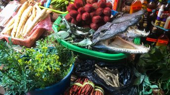 Chiclayo Chachapoyas Amazonia 4 2 344x193 - Dzika P&oacute;łnoc Peru