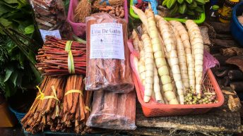 Chiclayo Chachapoyas Amazonia 4 3 344x193 - Dzika P&oacute;łnoc Peru