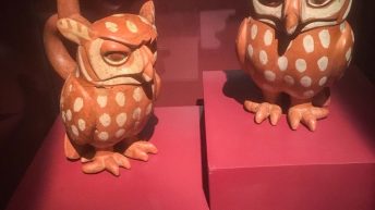 Chiclayo Chachapoyas Amazonia 4 344x193 - Dzika P&oacute;łnoc Peru