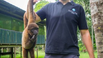 Chiclayo Chachapoyas Amazonia 4 39 344x193 - Dzika P&oacute;łnoc Peru