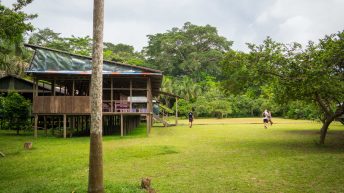 Chiclayo Chachapoyas Amazonia 4 48 344x193 - Dzika P&oacute;łnoc Peru