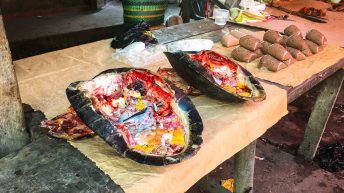 Chiclayo Chachapoyas Amazonia 4 5 344x193 - Dzika P&oacute;łnoc Peru