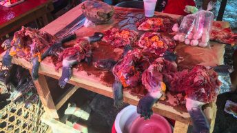 Chiclayo Chachapoyas Amazonia 4 6 344x193 - Dzika P&oacute;łnoc Peru