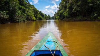 Chiclayo Chachapoyas Amazonia 47 344x193 - Dzika P&oacute;łnoc Peru