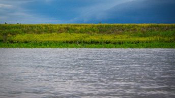 Chiclayo Chachapoyas Amazonia 53 344x193 - Dzika P&oacute;łnoc Peru
