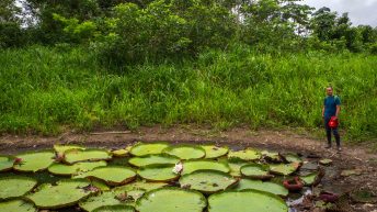 Chiclayo Chachapoyas Amazonia 64 344x193 - Dzika P&oacute;łnoc Peru