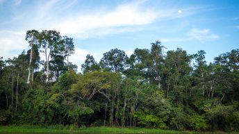 Chiclayo Chachapoyas Amazonia 74 344x193 - Dzika P&oacute;łnoc Peru