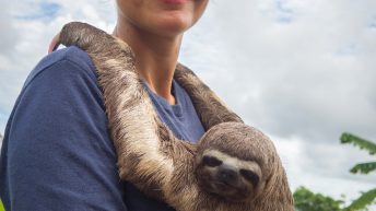 Chiclayo Chachapoyas Amazonia 78 344x193 - Dzika P&oacute;łnoc Peru
