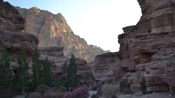 DSC 0229 344x193 - JORDANIA