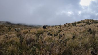 Ekwador 21 26.09.18 8 344x193 - Cotopaxi - łatwo przyszło, ciężko poszło