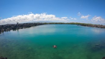 Galapagos Isabela 6 344x193 - Galapagos, czyli wyspy szczęśliwe