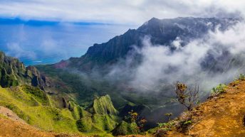 Hawaje 18 344x193 - Nie takie znowu rajskie Hawaje