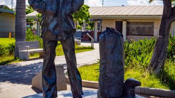 Hawaje 3 344x193 - Nie takie znowu rajskie Hawaje