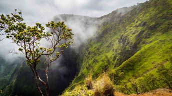 Hawaje 7 344x193 - Nie takie znowu rajskie Hawaje