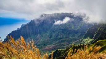 Hawaje 8 344x193 - Nie takie znowu rajskie Hawaje