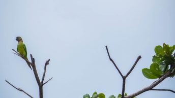 Kolumbia 10.09.18 6 344x193 - Kartagena - turystyczna strona Kolumbii