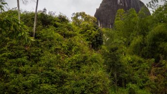 Medellin 11 14.09 17 344x193 - Szlakiem Escobara w Medellin