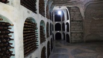 Mołdawia 7 344x193 - MOŁDAWIA / NADDNIESTRZE