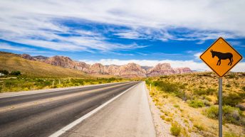 N 2 344x193 - Wild, wild west - USA cz.1