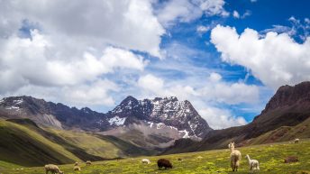 Peru 101 344x193 - Śladami Ink&oacute;w - Południe Peru