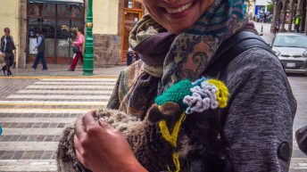 Peru 105 344x193 - Śladami Ink&oacute;w - Południe Peru